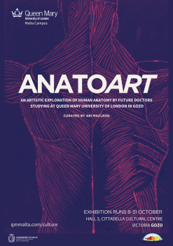 AnatoArt