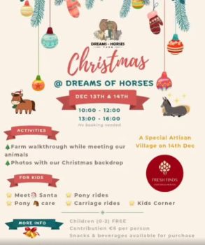 Christmas at Dreams of Horses Farm