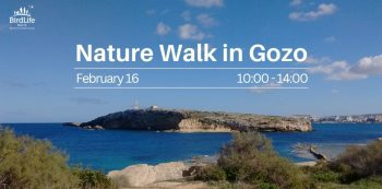 Nature Walk in Gozo