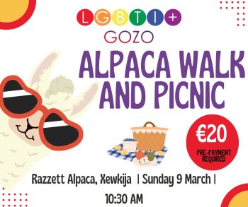 Alpaca Walk and Picnic