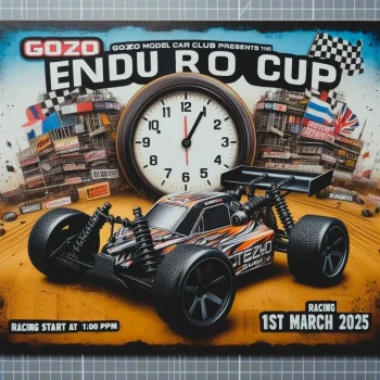 Gozo Endu Ro Cup