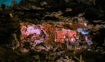 Frank Mizzi’s Iconic Nativity Crib