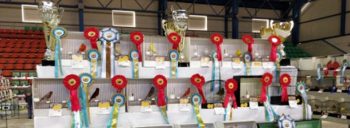 Bird Breeders Society Annual Show 2025