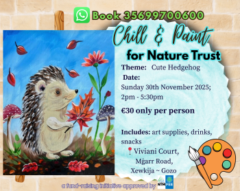Paint a Cute Hedgehog in Aid of Nature Trust