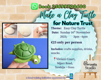 Make A Clay Turtle For Nature Fund